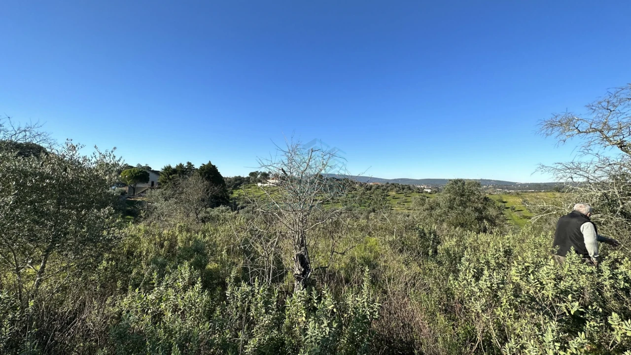 Terreno para Venda em Assentiz Foto 8
