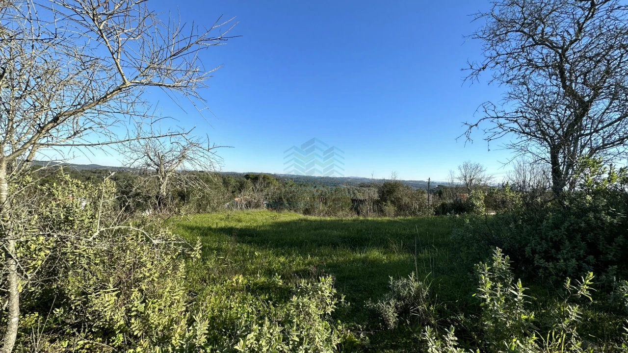 Terreno para Venda em Assentiz Foto 5