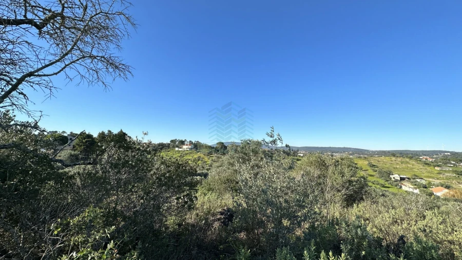 Terreno para Venda em Assentiz Foto 10