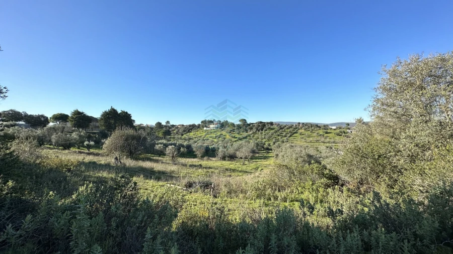 Terreno para Venda em Assentiz Foto 1
