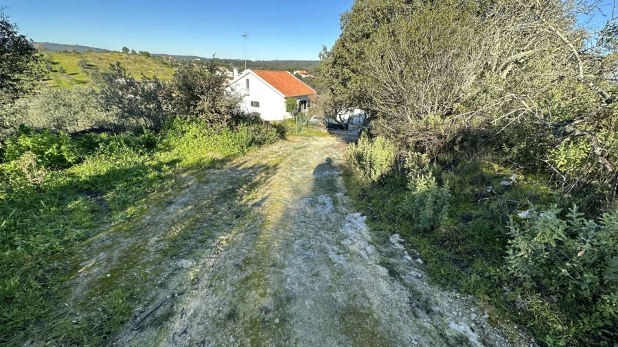 Terreno para Venda em Assentiz Foto 14