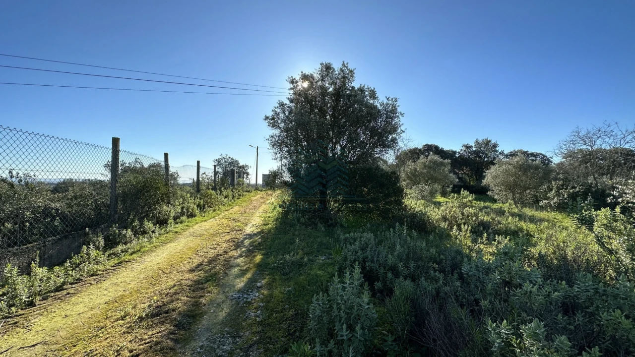 Terreno para Venda em Assentiz Foto 6
