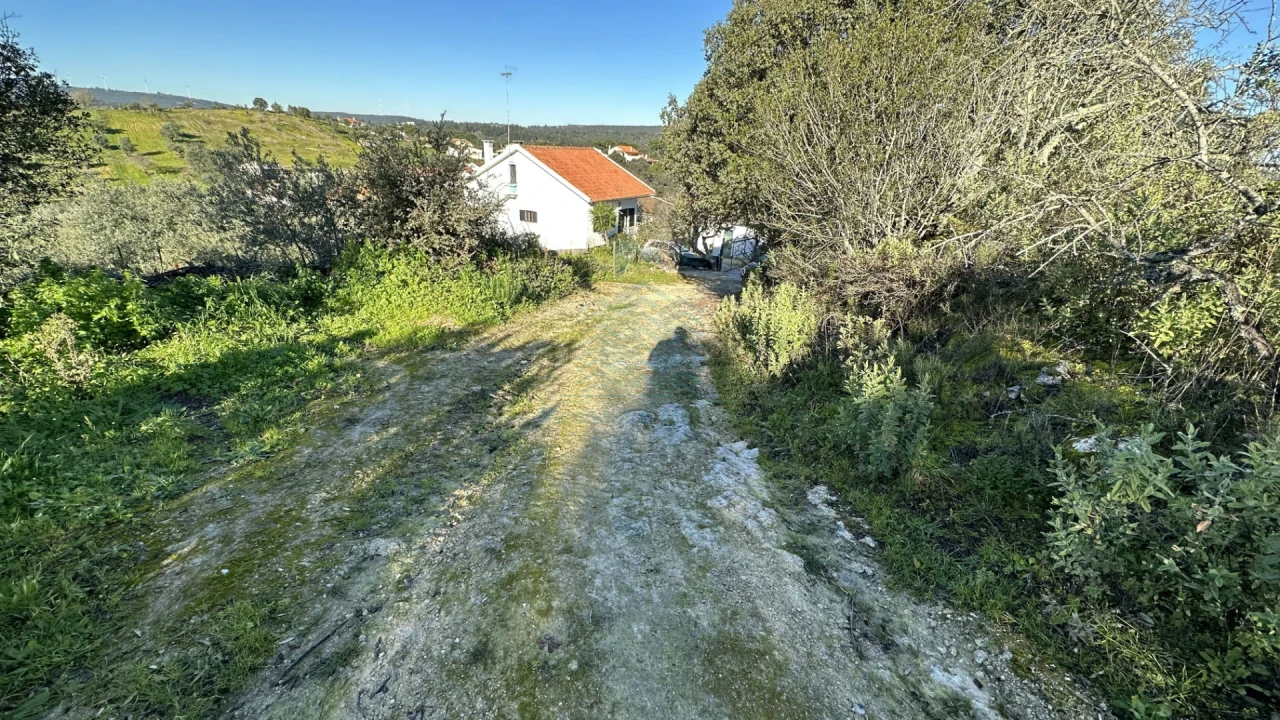 Terreno para Venda em Assentiz Foto 14