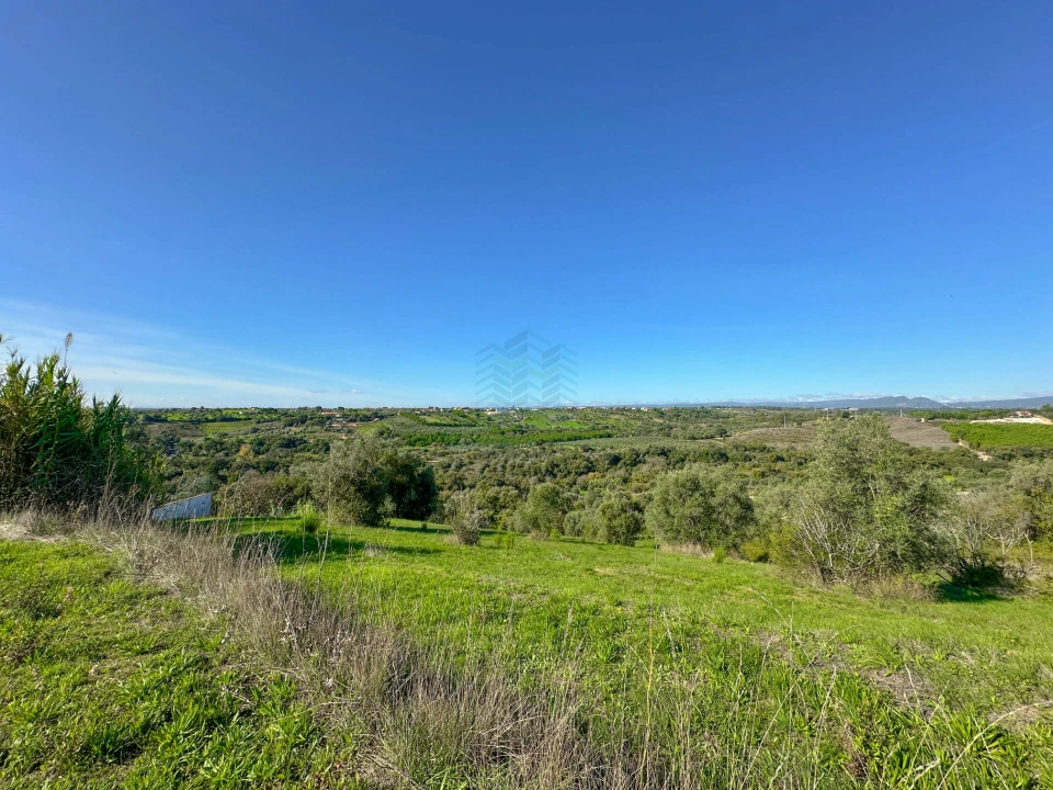 Terreno Misto para Venda em Brogueira, Parceiros de Igreja e Alcorochel Foto 15