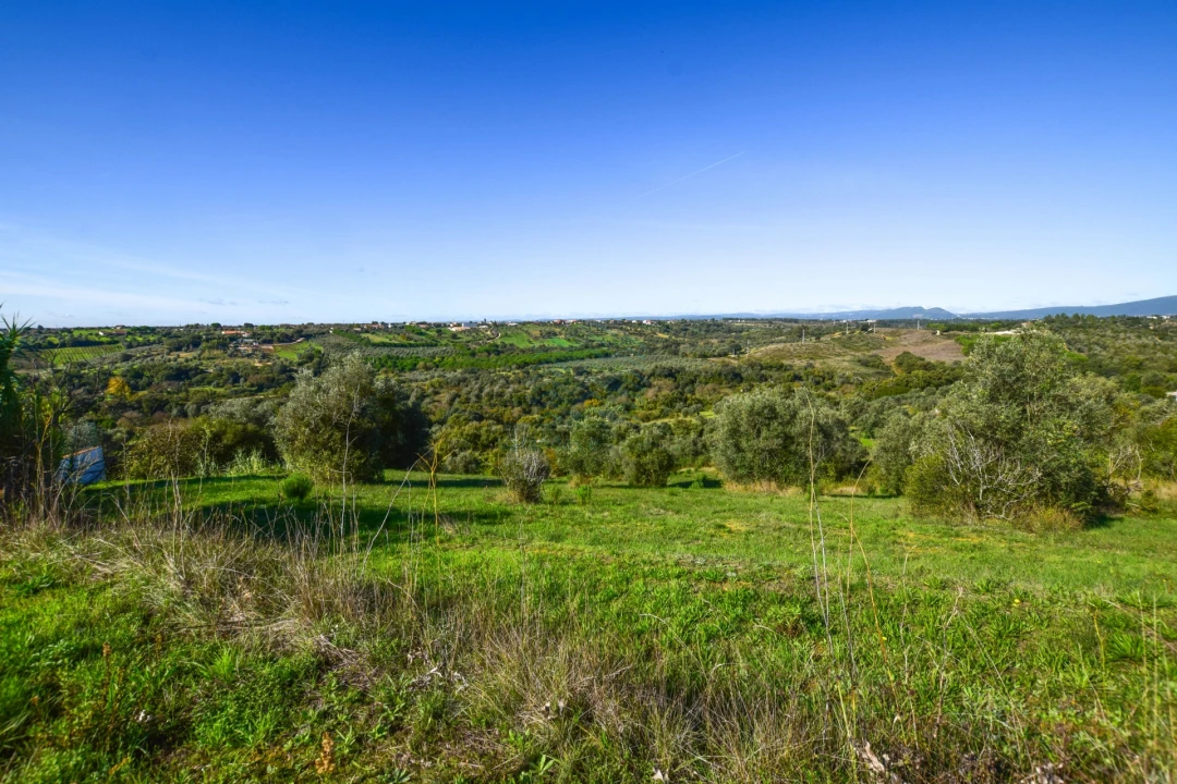 Terreno Misto para Venda em Brogueira, Parceiros de Igreja e Alcorochel Foto 5