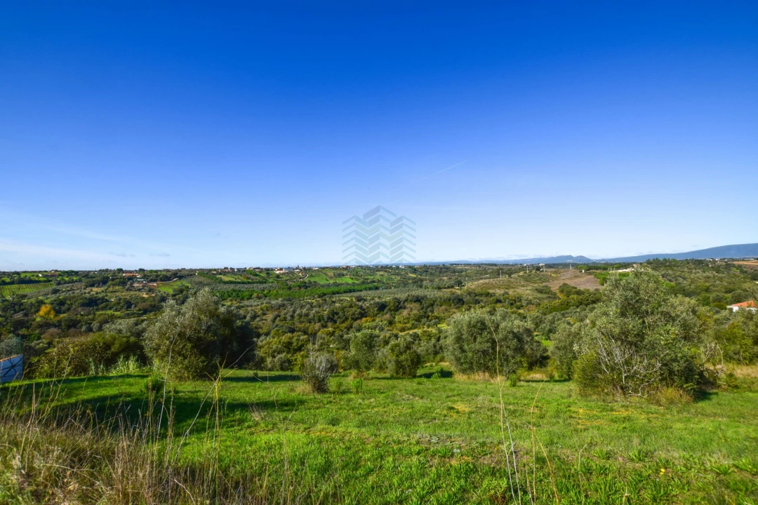 Terreno Misto para Venda em Brogueira, Parceiros de Igreja e Alcorochel Foto 6