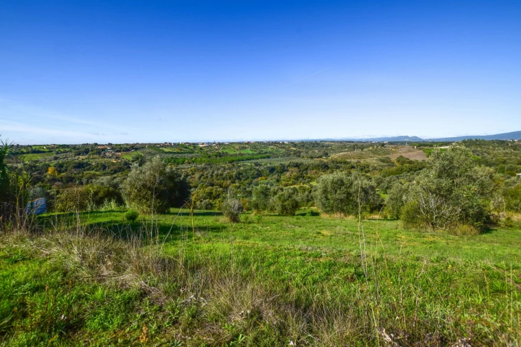 Terreno Misto para Venda em Brogueira, Parceiros de Igreja e Alcorochel Foto 5