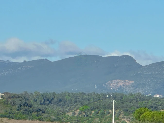 Terreno Misto para Venda em Brogueira, Parceiros de Igreja e Alcorochel Foto 20