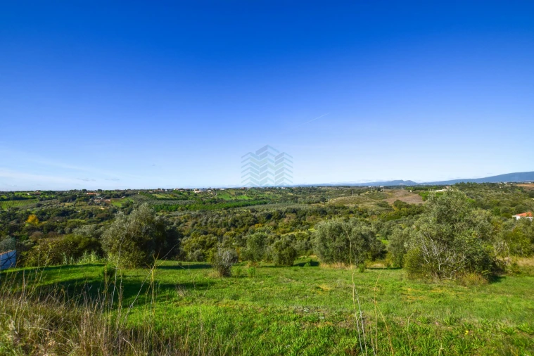 Terreno Misto para Venda em Brogueira, Parceiros de Igreja e Alcorochel Foto 6