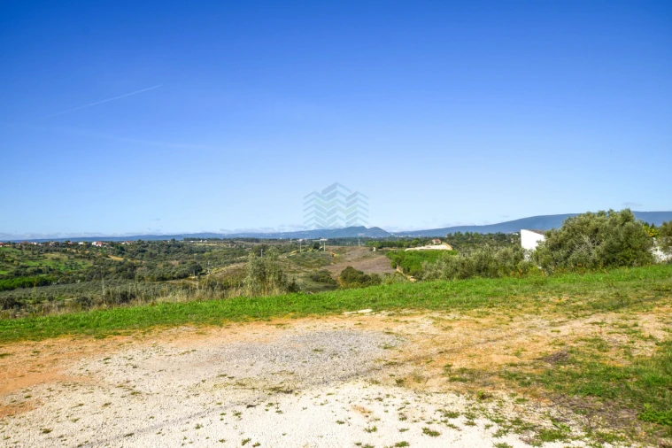Terreno Misto para Venda em Brogueira, Parceiros de Igreja e Alcorochel Foto 4