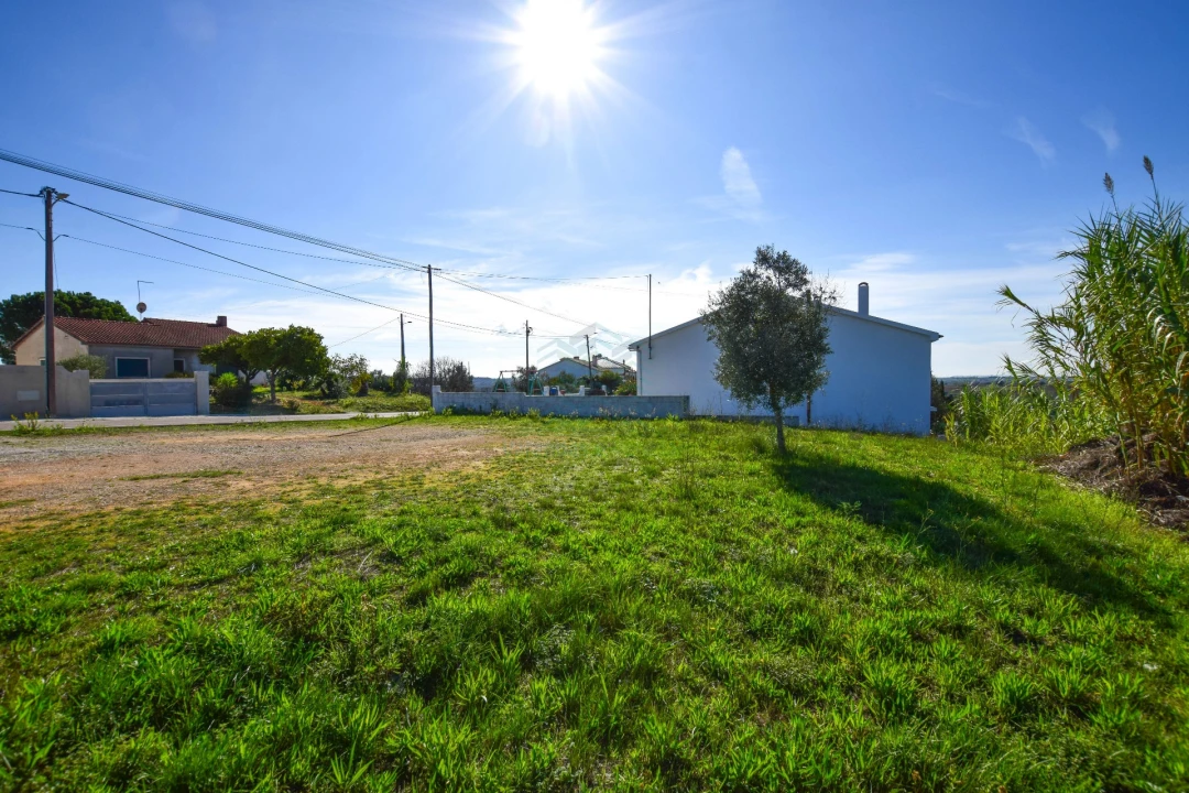 Terreno Misto para Venda em Brogueira, Parceiros de Igreja e Alcorochel Foto 9