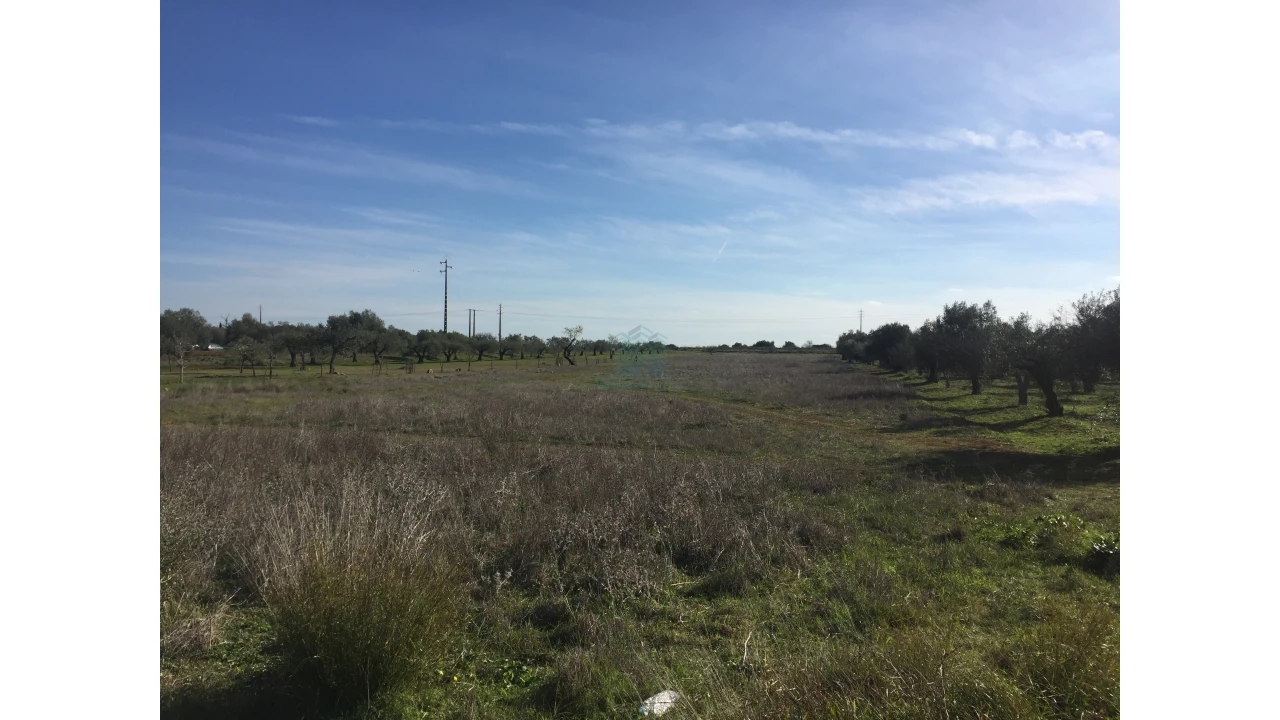 Terreno para Venda em Zibreira Foto 3