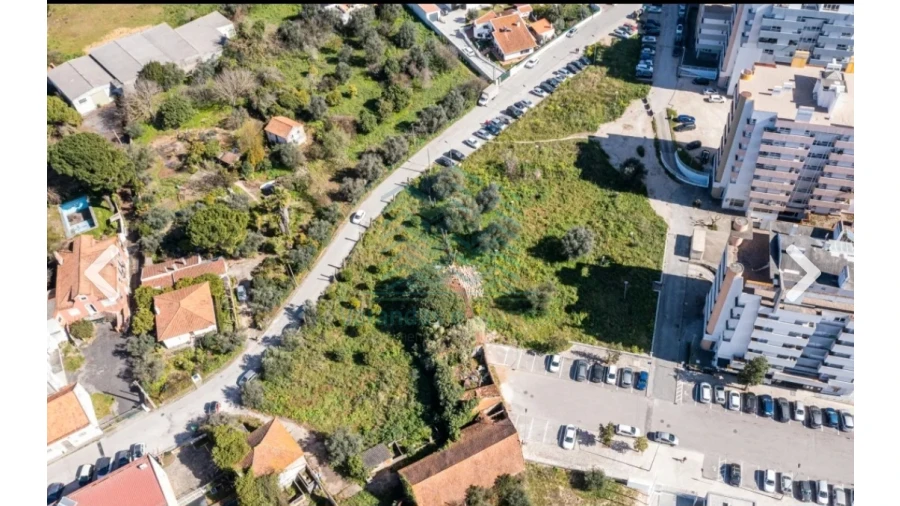 Terreno para Venda em Torres Novas (Santa Maria, Salvador e Santiago) Foto 6