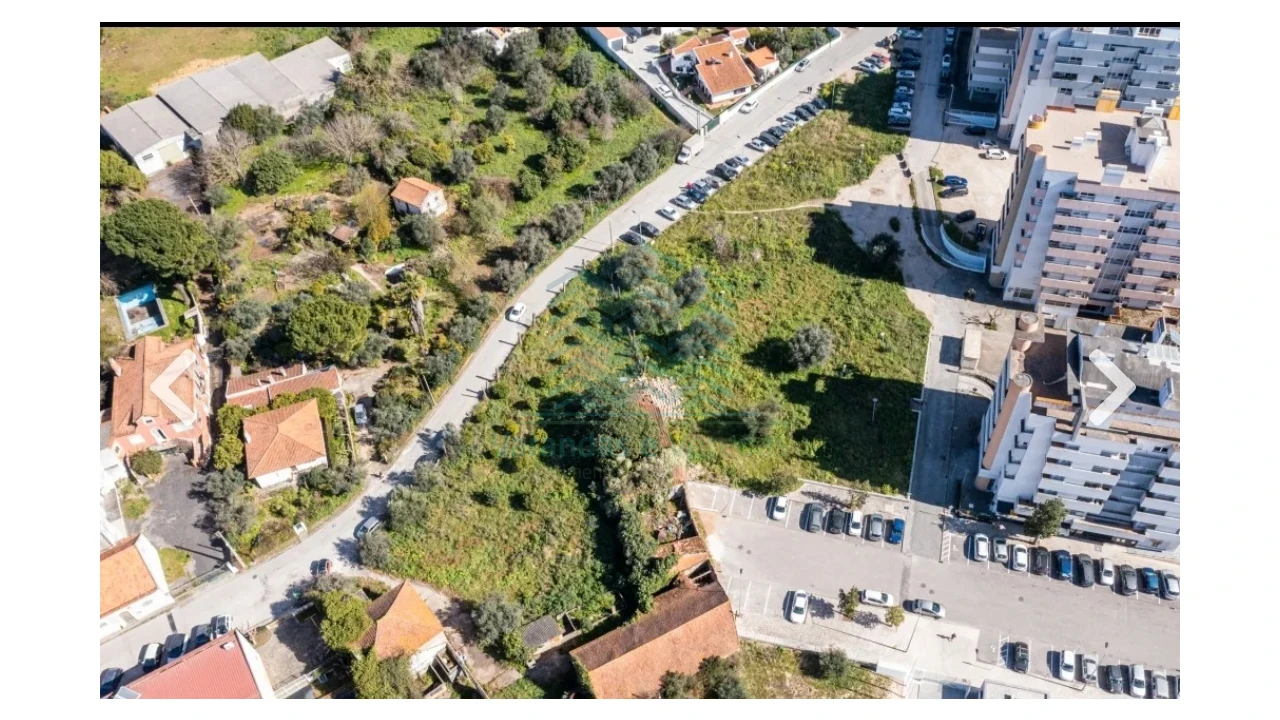 Terreno para Venda em Torres Novas (Santa Maria, Salvador e Santiago) Foto 6