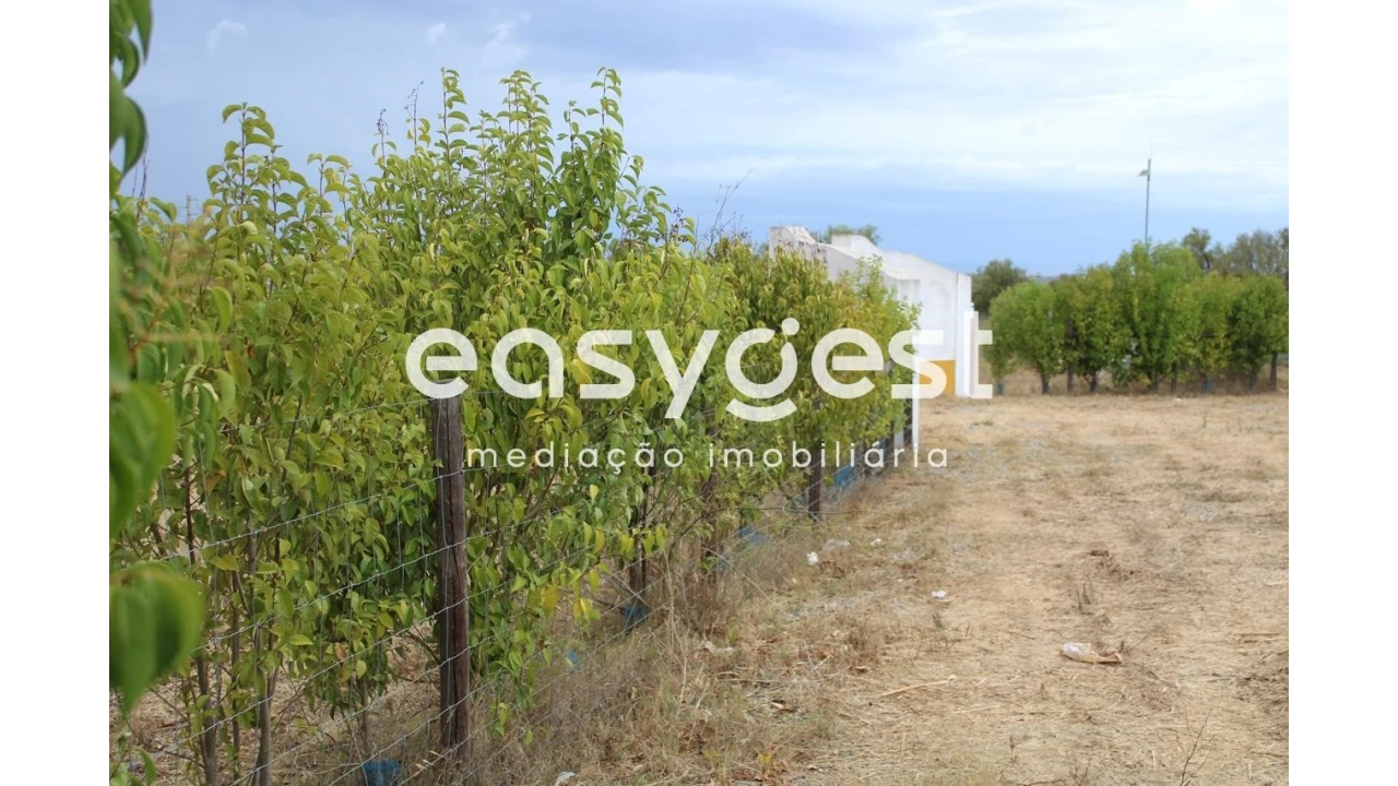 Terreno Agricola ou Rústico para Venda em Serpa (Salvador e Santa Maria) Foto 5