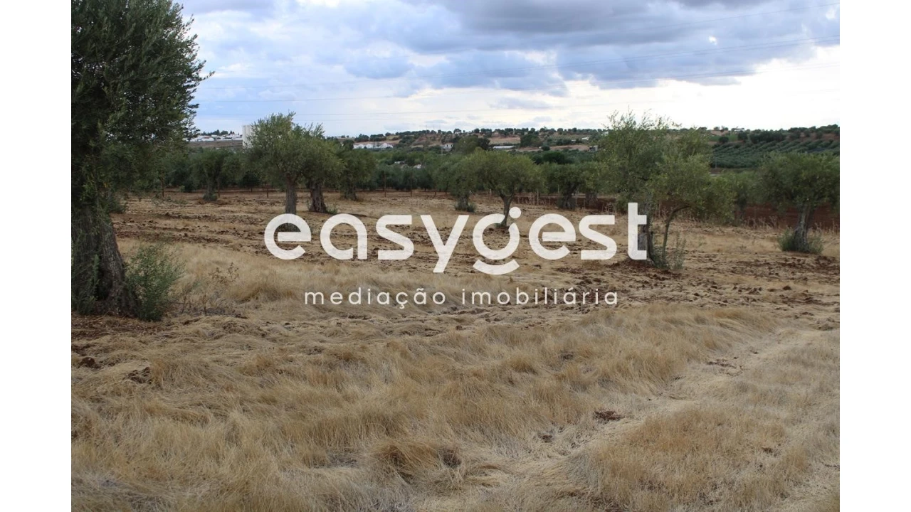 Terreno Agricola ou Rústico para Venda em Serpa (Salvador e Santa Maria) Foto 7