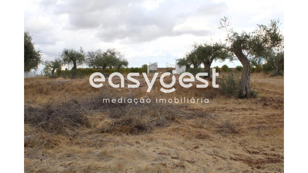 Terreno Agricola ou Rústico para Venda em Serpa (Salvador e Santa Maria) Foto 9