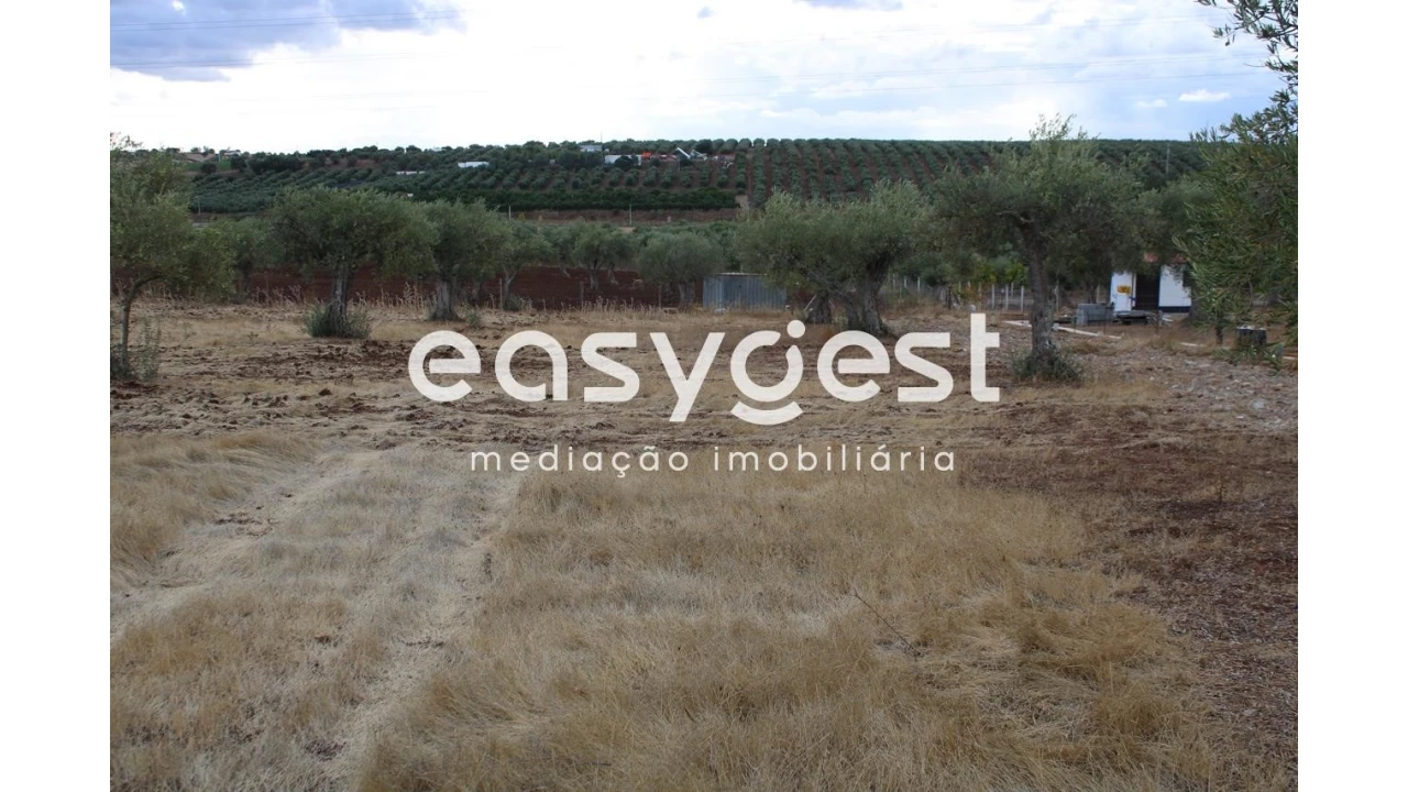 Terreno Agricola ou Rústico para Venda em Serpa (Salvador e Santa Maria) Foto 11