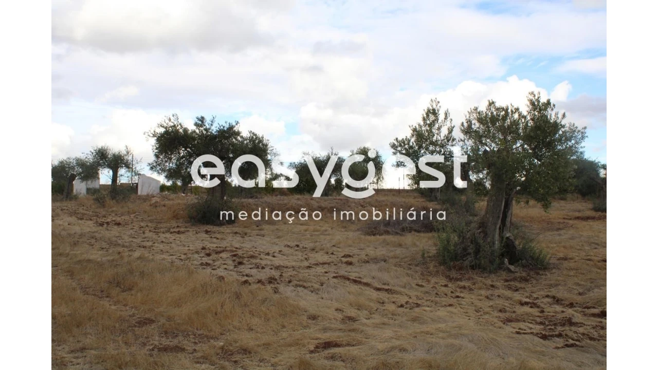 Terreno Agricola ou Rústico para Venda em Serpa (Salvador e Santa Maria) Foto 12