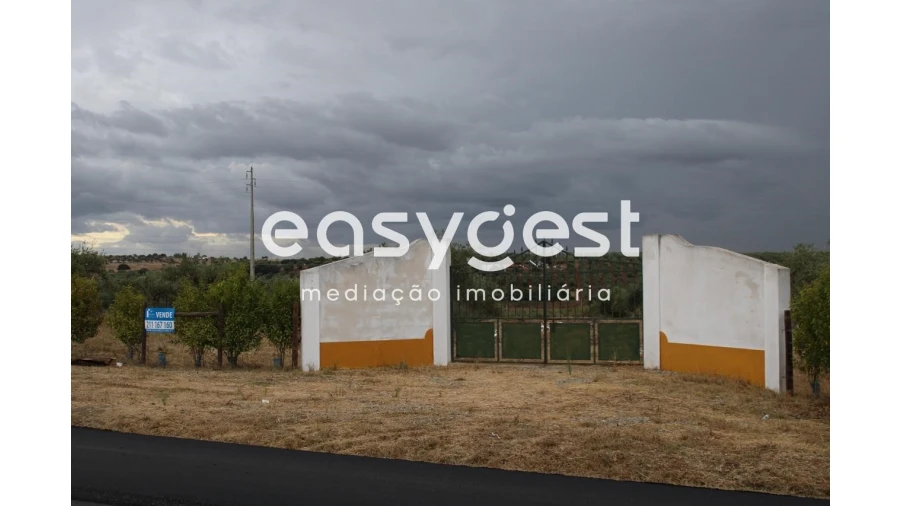 Terreno Agricola ou Rústico para Venda em Serpa (Salvador e Santa Maria) Foto 2