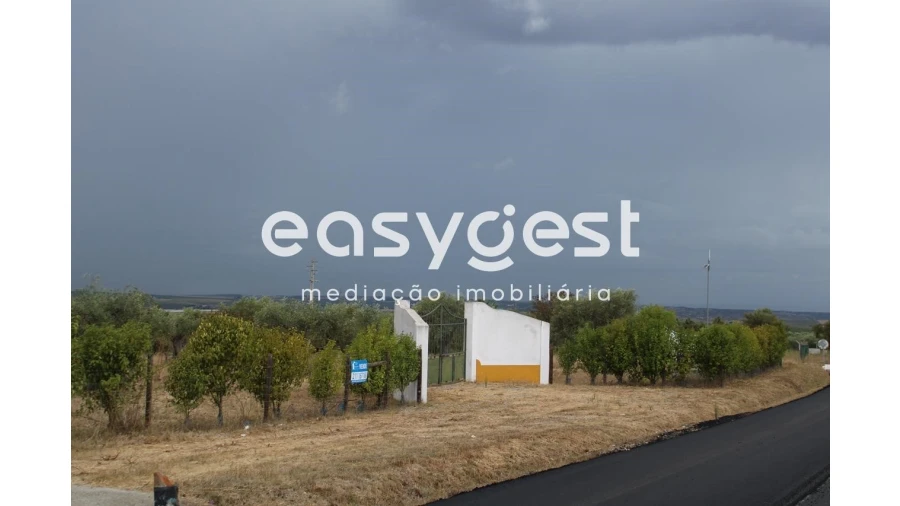 Terreno Agricola ou Rústico para Venda em Serpa (Salvador e Santa Maria) Foto 3