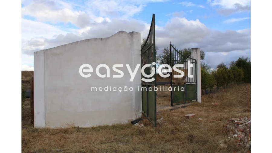 Terreno Agricola ou Rústico para Venda em Serpa (Salvador e Santa Maria) Foto 4