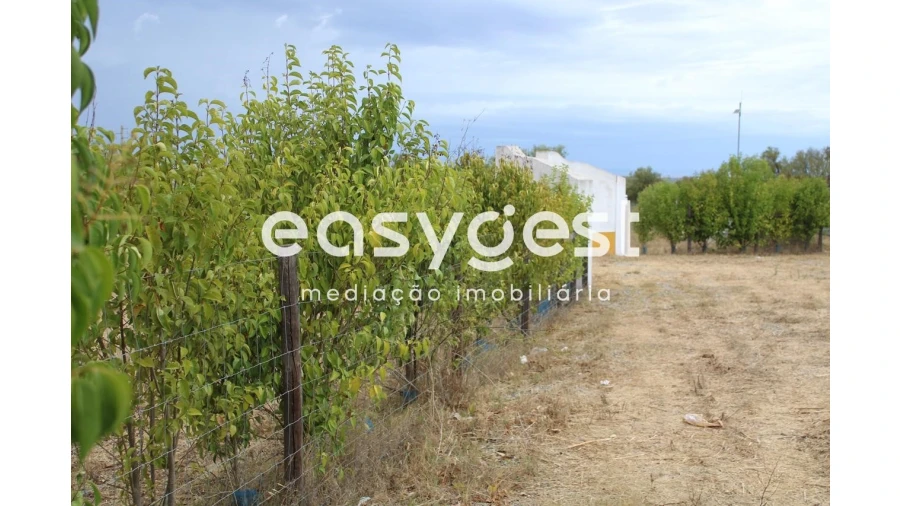 Terreno Agricola ou Rústico para Venda em Serpa (Salvador e Santa Maria) Foto 5