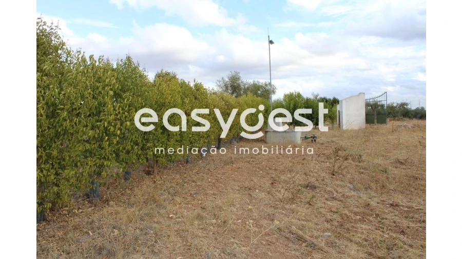 Terreno Agricola ou Rústico para Venda em Serpa (Salvador e Santa Maria) Foto 6