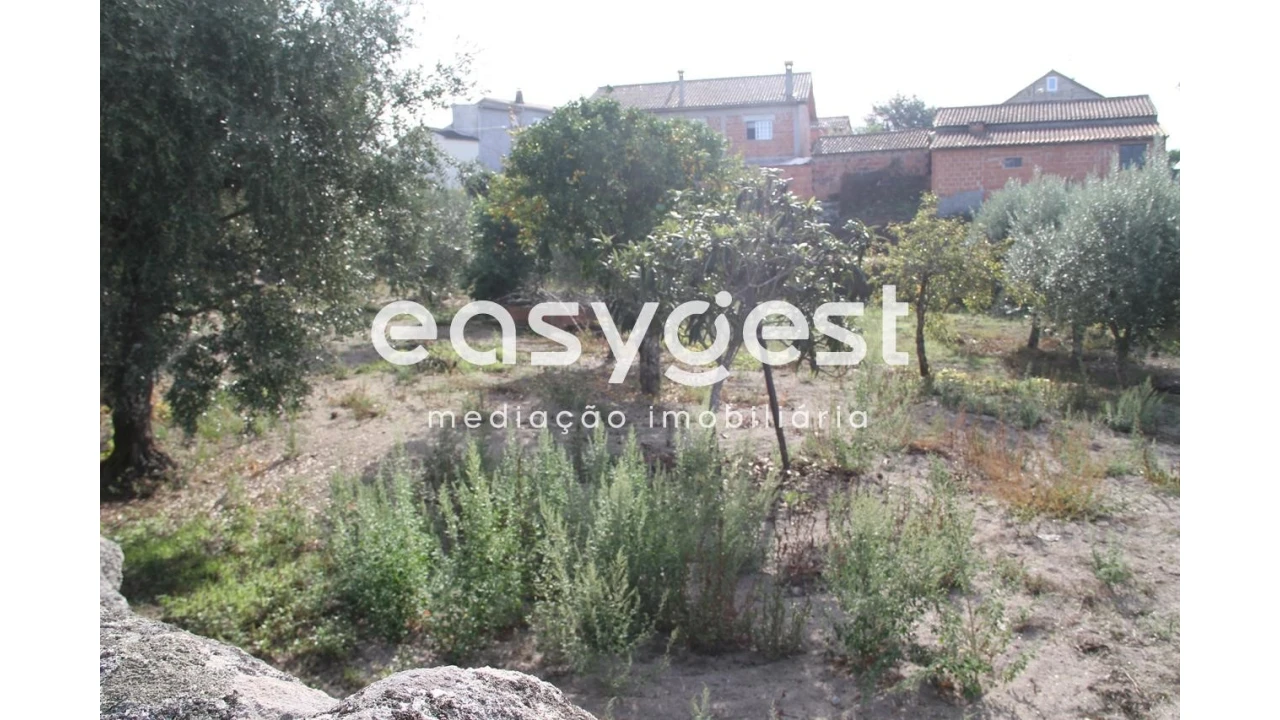 Terreno Agricola ou Rústico para Venda em Travanca de Lagos Foto 7