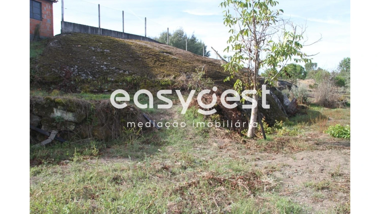 Terreno Agricola ou Rústico para Venda em Travanca de Lagos Foto 8