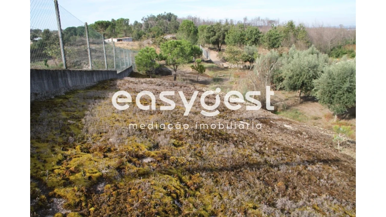 Terreno Agricola ou Rústico para Venda em Travanca de Lagos Foto 9