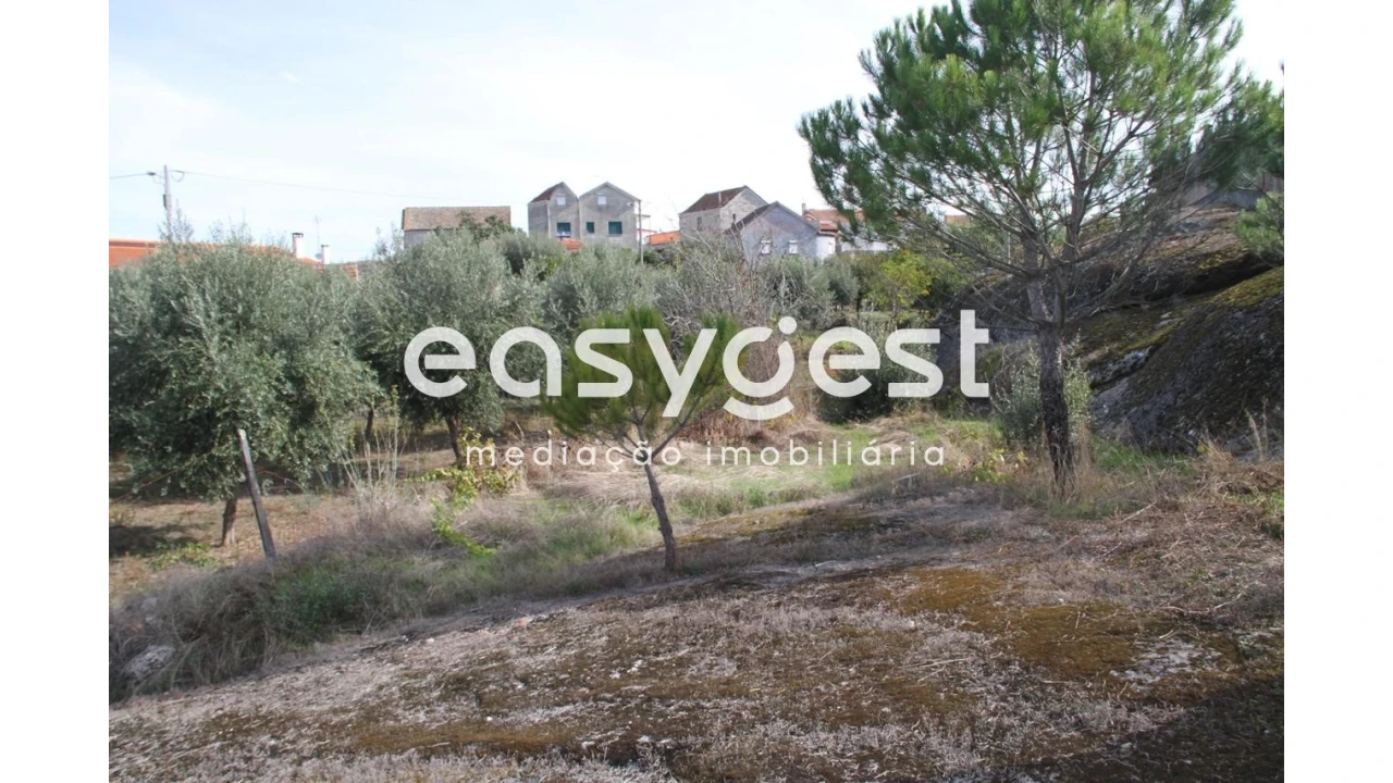 Terreno Agricola ou Rústico para Venda em Travanca de Lagos Foto 12