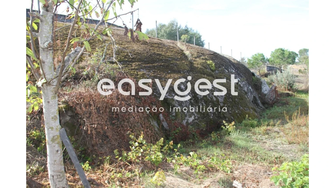 Terreno Agricola ou Rústico para Venda em Travanca de Lagos Foto 14
