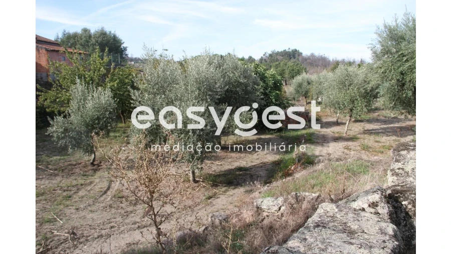 Terreno Agricola ou Rústico para Venda em Travanca de Lagos Foto 3