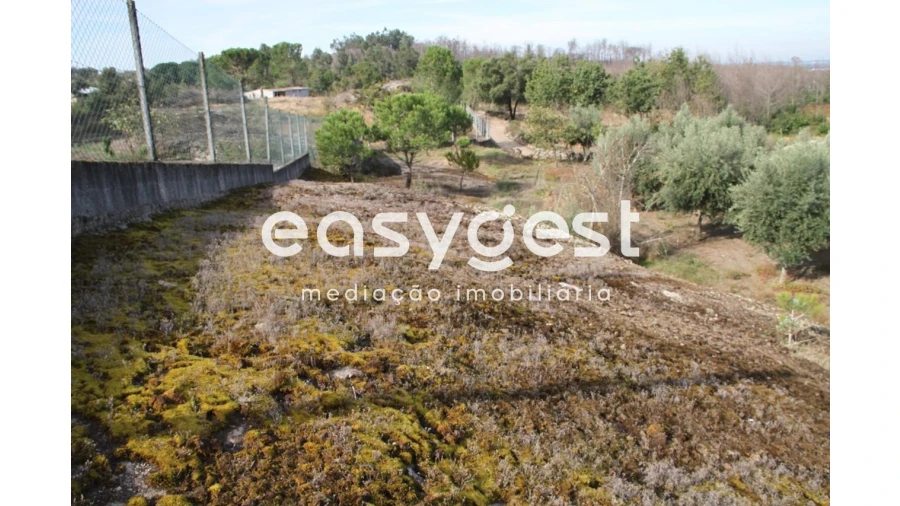 Terreno Agricola ou Rústico para Venda em Travanca de Lagos Foto 9