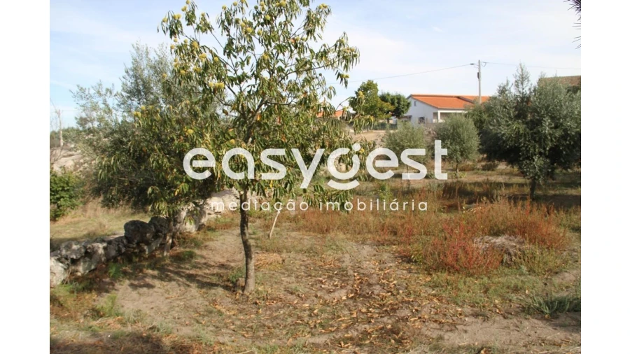 Terreno Agricola ou Rústico para Venda em Travanca de Lagos Foto 13