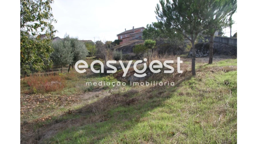 Terreno Agricola ou Rústico para Venda em Travanca de Lagos Foto 15