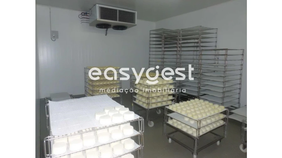 Armazém para Venda em Serpa (Salvador e Santa Maria) Foto 7