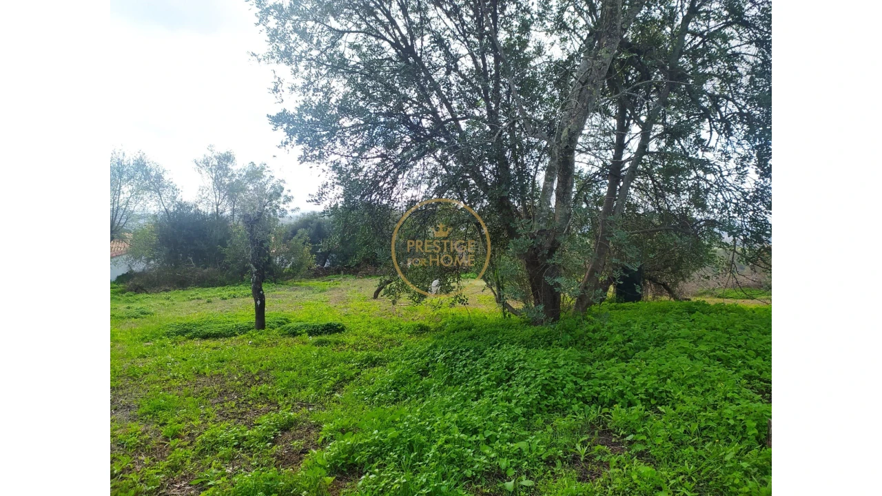 Terreno para Venda em Loule (São Clemente) Foto 5