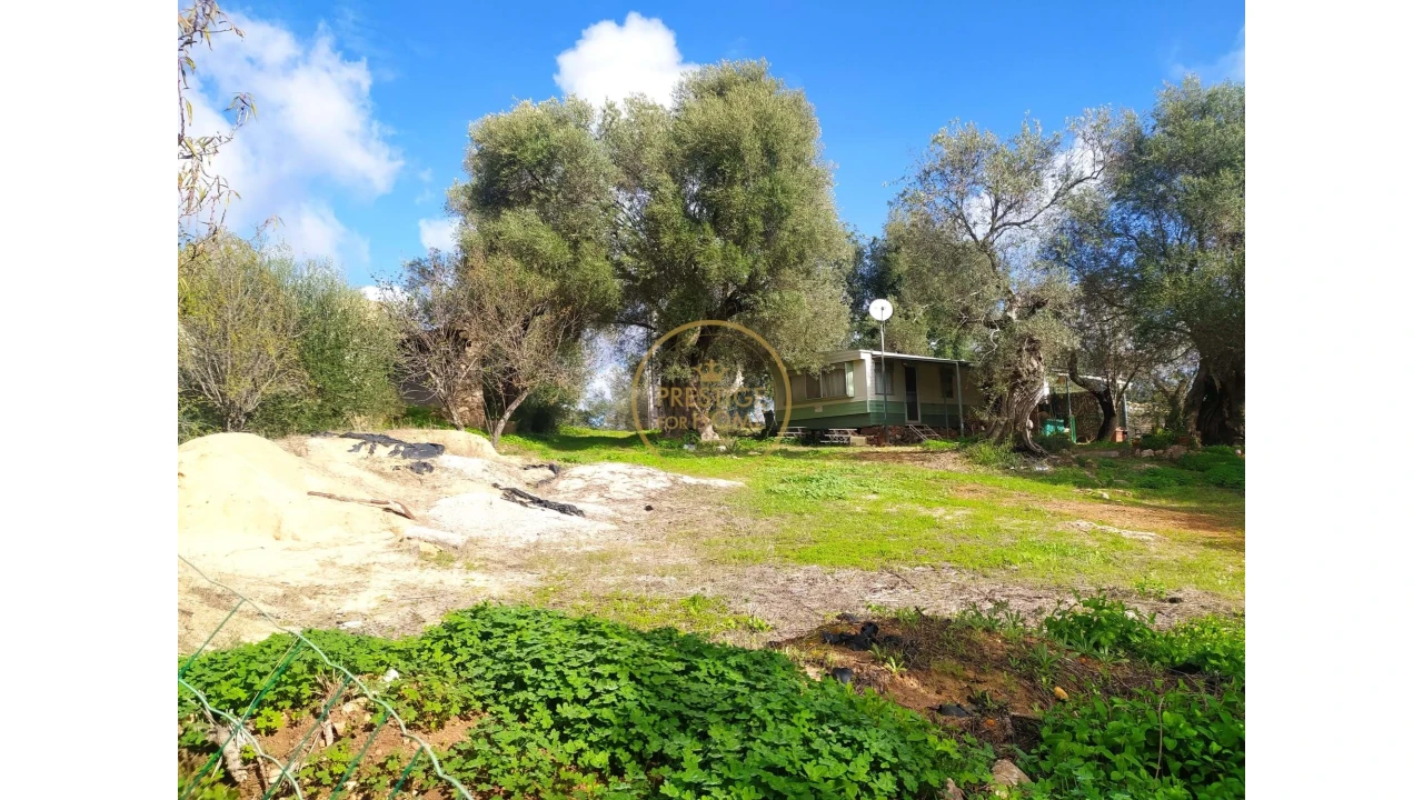 Terreno para Venda em Loule (São Clemente) Foto 7