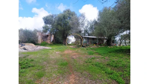 Terreno para Venda em Loule (São Clemente)