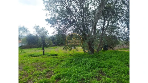 Terreno para Venda em Loule (São Clemente)