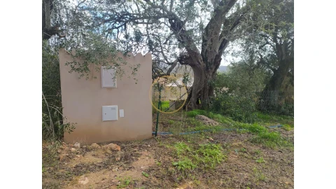 Terreno para Venda em Loule (São Clemente)