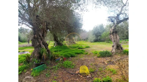 Terreno para Venda em Loule (São Clemente)