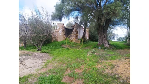 Terreno para Venda em Loule (São Clemente)