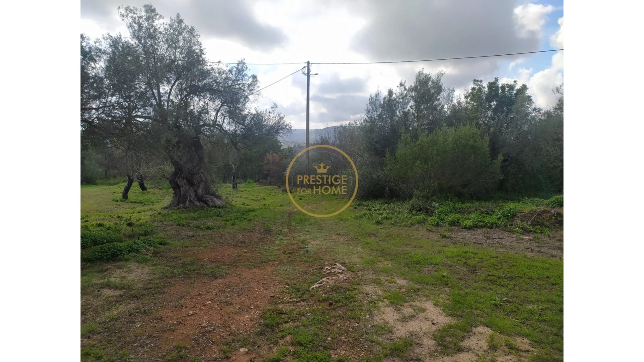 Terreno para Venda em Loule (São Clemente) Foto 13