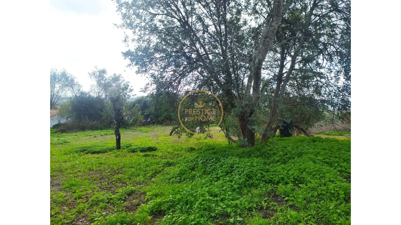 Terreno para Venda em Loule (São Clemente) Foto 12