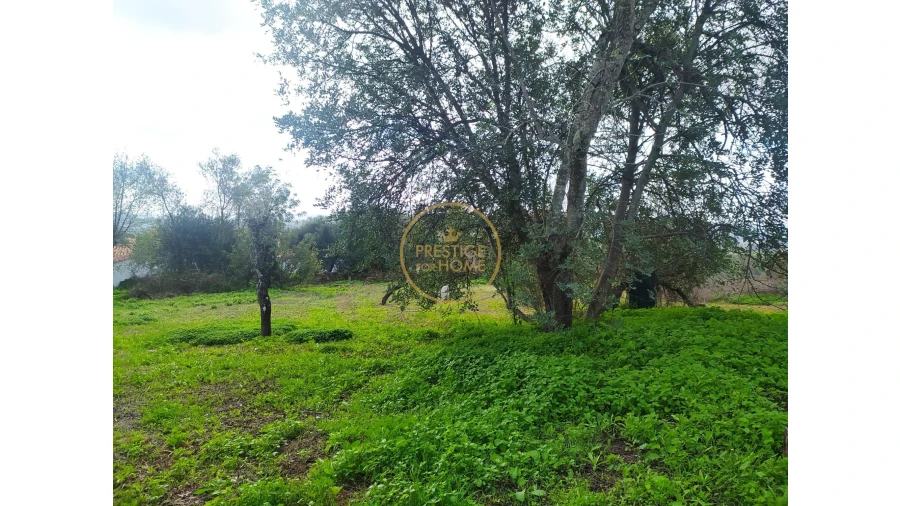 Terreno para Venda em Loule (São Clemente) Foto 5