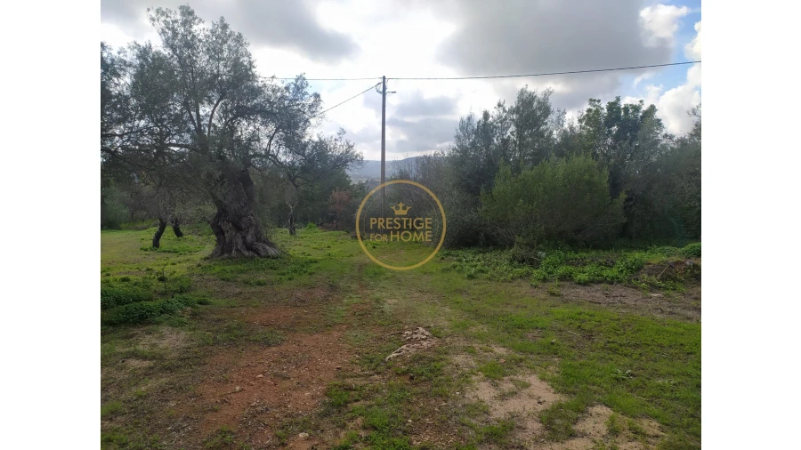 Terreno para Venda em Loule (São Clemente) Foto 13
