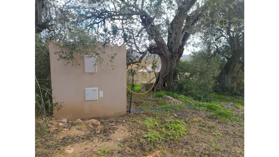 Terreno para Venda em Loule (São Clemente) Foto 10
